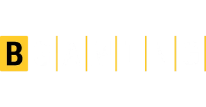 partners who work with AviatorGod