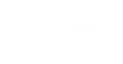 partners who work with AviatorGod