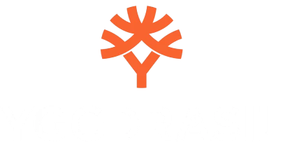 partners who work with AviatorGod